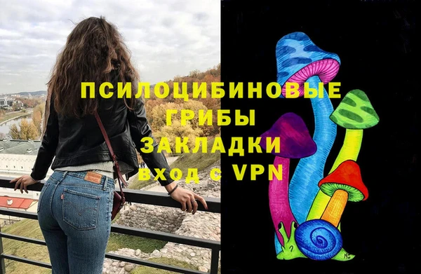 соль ск Гусев