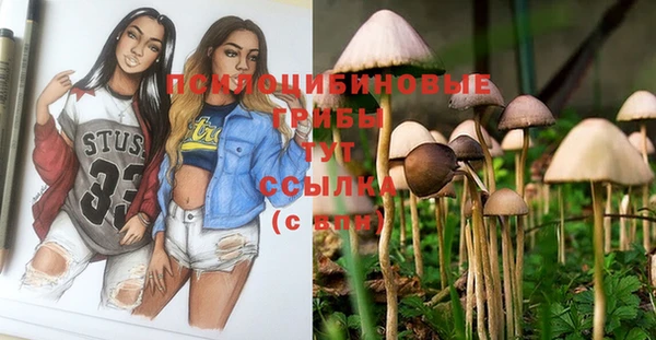 круглые Гусь-Хрустальный