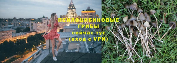 соль курить ск Гусиноозёрск