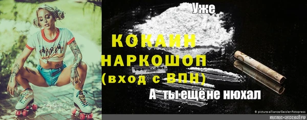 соль ск Гусев