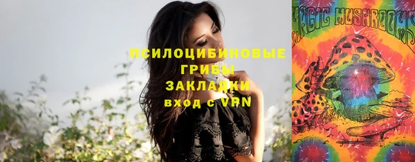 круглые Гусь-Хрустальный