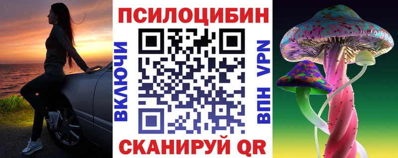 Псилоцибиновые грибы Psilocybine cubensis  Купить где  Кудрово 